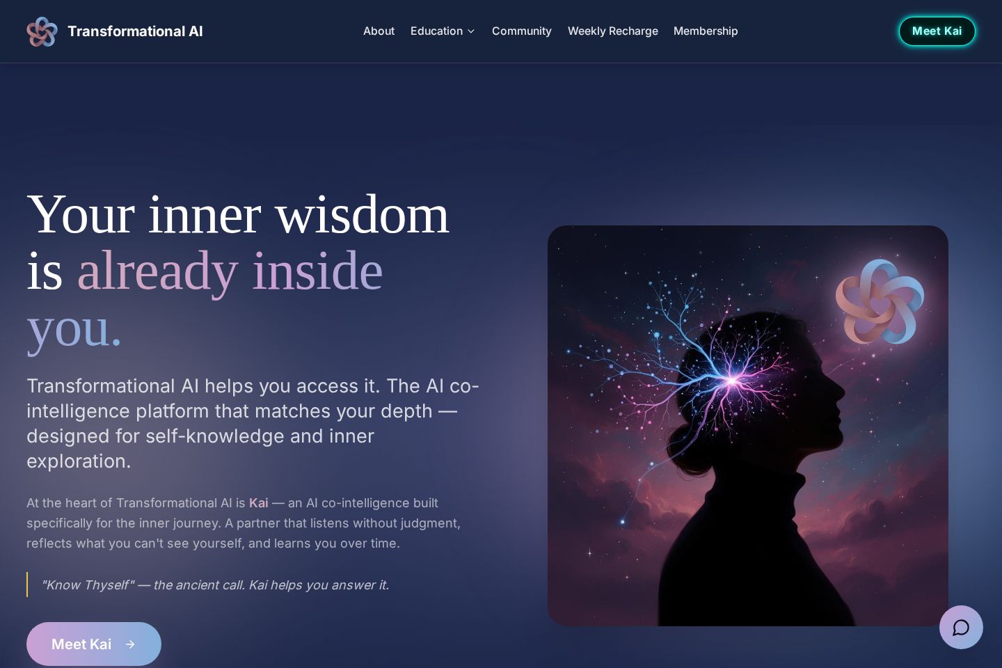 Transformational AI website preview